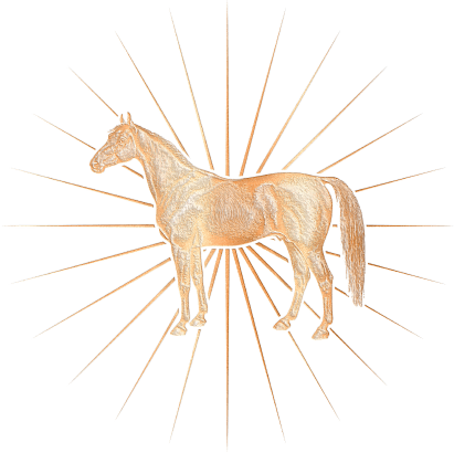 Golden Cavalo